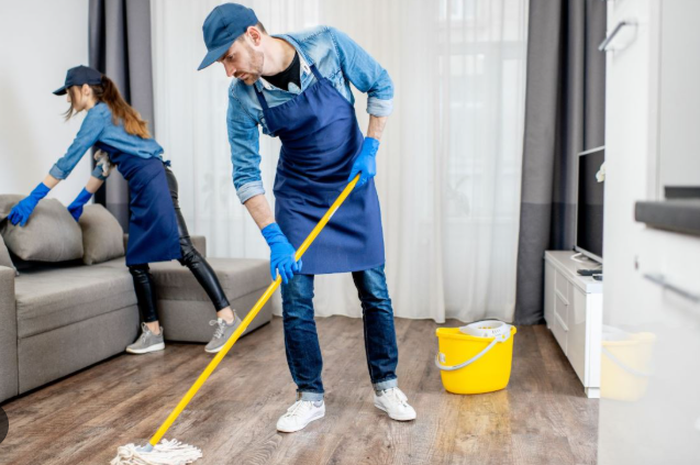 Pastrime shtëpie Max Clean Solution